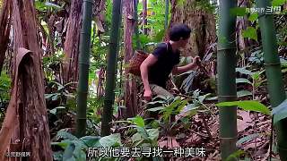 越南小哥的丛林生活