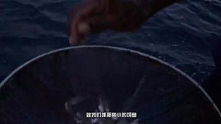 中国海钓王游钓世界