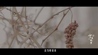 迷惑历史知识大赏—看鉴历史