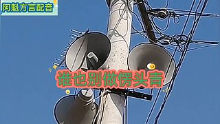 阿魁方言配音的直播间