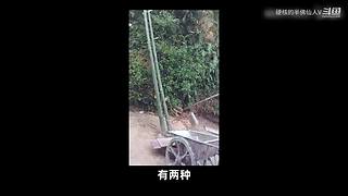 我看诸君皆装X，料诸君看我应如是