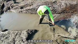 感谢钓友关注，每天分享鱼乐