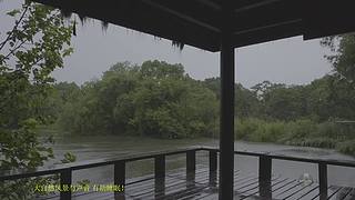 大自然的声音 治愈风景 帮助睡眠