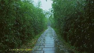 大自然的聲音 治愈風(fēng)景 幫助睡眠