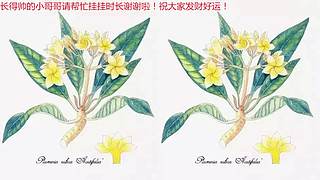 【七七醬】毀滅術(shù)士小姐姐的最后倔強(qiáng),！~