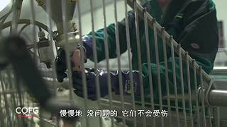 荒野求生，带大家体验不一样的生活