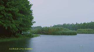 大自然的聲音 治愈風(fēng)景 幫助睡眠