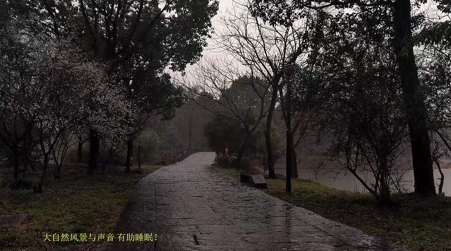 大自然的声音 治愈风景 帮助睡眠