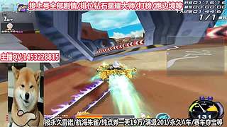 免费上号速度来！