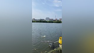 亮gnailux的直播间