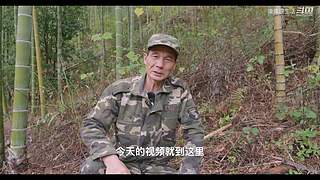娱乐大于一切 10440627