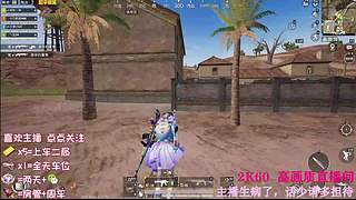高清2K60，专打沙漠
