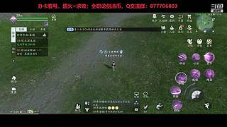东越后山大树林的唐门