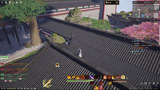租号开播！
