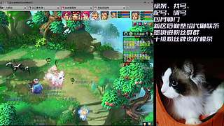 燕赵风云日常唠嗑！