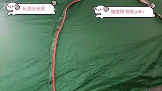 重生之绍兴985当野王