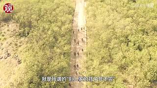 亚洲特快：到珠海看乌克兰战训