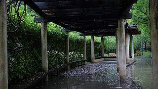 大自然的声音 治愈风景 帮助睡眠