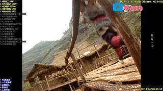 [奇光]喜剧点播剧场