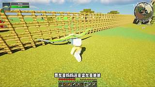 充满沙雕气息的直播间