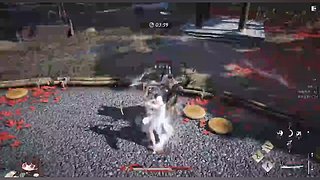 垫垫关注吧