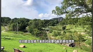 N21成功系统13666812710