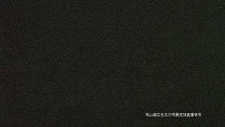 在线观鸟··