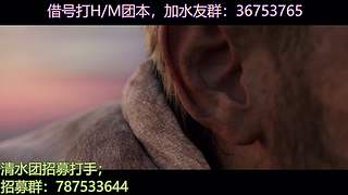国服借号打团