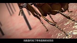 【悬疑】都市猎奇传说、恐怖故事