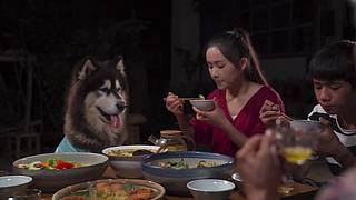 滇西小哥的美食视频