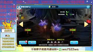 失眠君：看看玩玩新宠