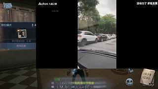 贪玩的胖汪团