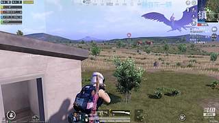 PVE噩梦找B.o.s.s。