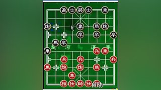 乐博象棋课堂
