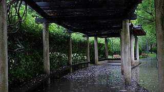 大自然的声音 治愈风景 帮助睡眠