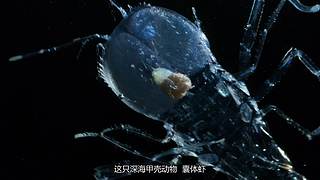 好久不开机了，开个机