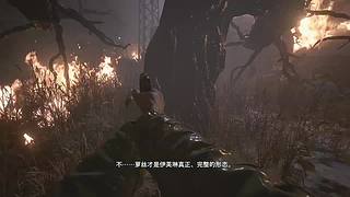 技术流声控！
