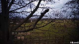 帝国时代4战役剧情