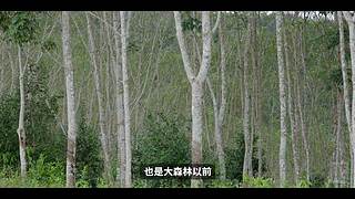 当下频道的当下世界