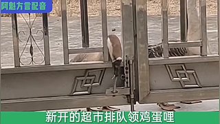 阿魁方言配音的直播间