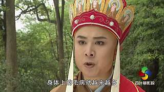 四叶草影视的直播间