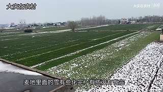 大庆在农村的直播间