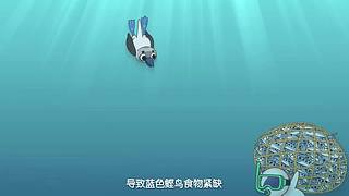 摩登大自然开播哦
