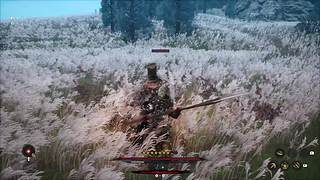 随便玩玩 4251446