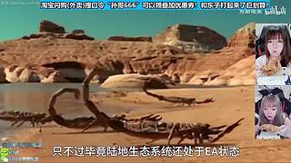钻石双倍,吃吃看看美滋滋~