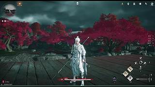 墊墊關(guān)注吧