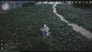 燕云十六隨便玩