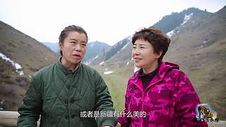【狼王出沒】歡迎圍觀我的新疆養(yǎng)狼日常！