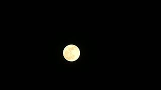 一起看英仙座流星雨