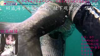 【鉆石雙倍】讓我成為你心里的一根刺叭